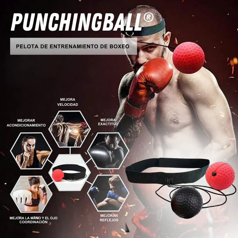gid://shopify/MediaImage/33790508859583